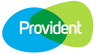 Paneles solares provident